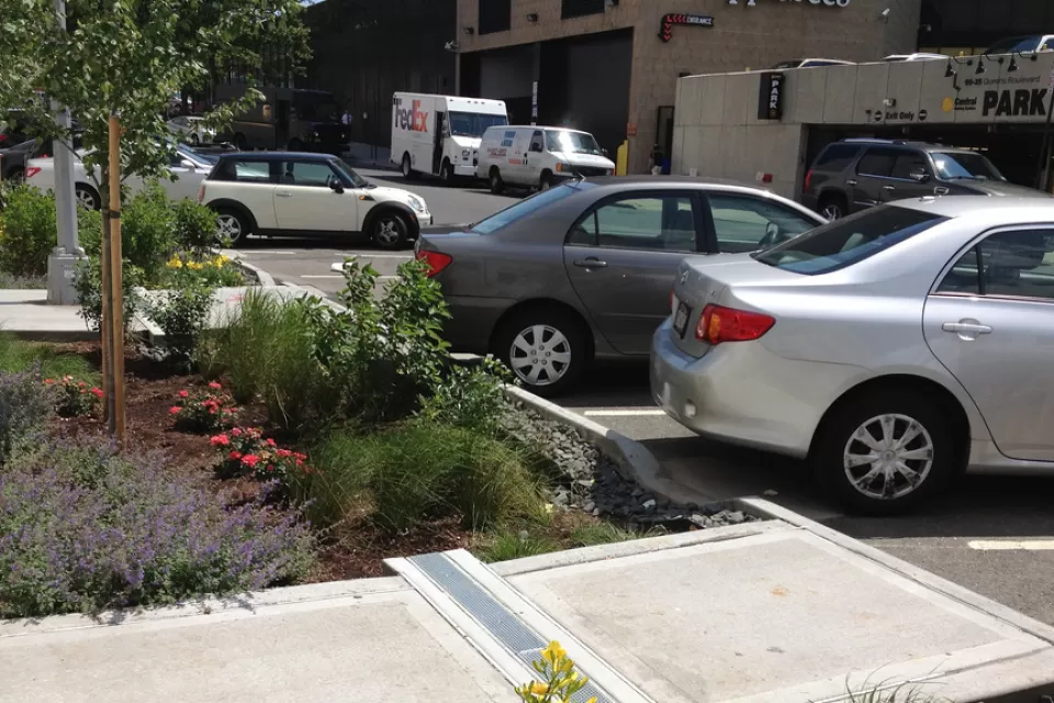 Bioswale